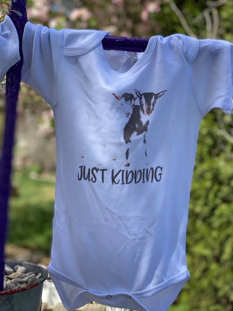 Baby 18-24 Month Onesie
