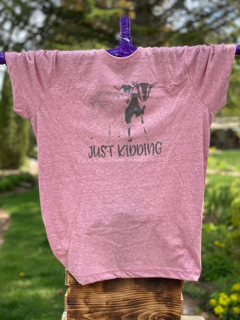 Size XS t-shirts & Tanks