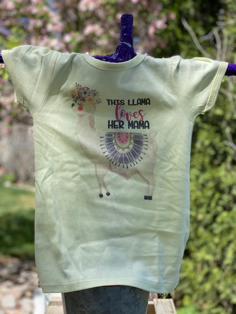 Toddler 5T t-shirt